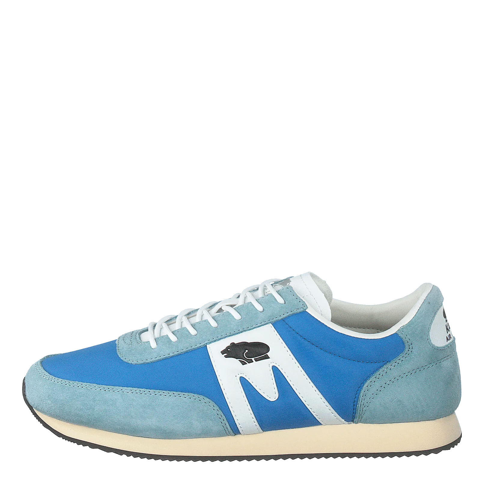 Albatross Blue Aster/white