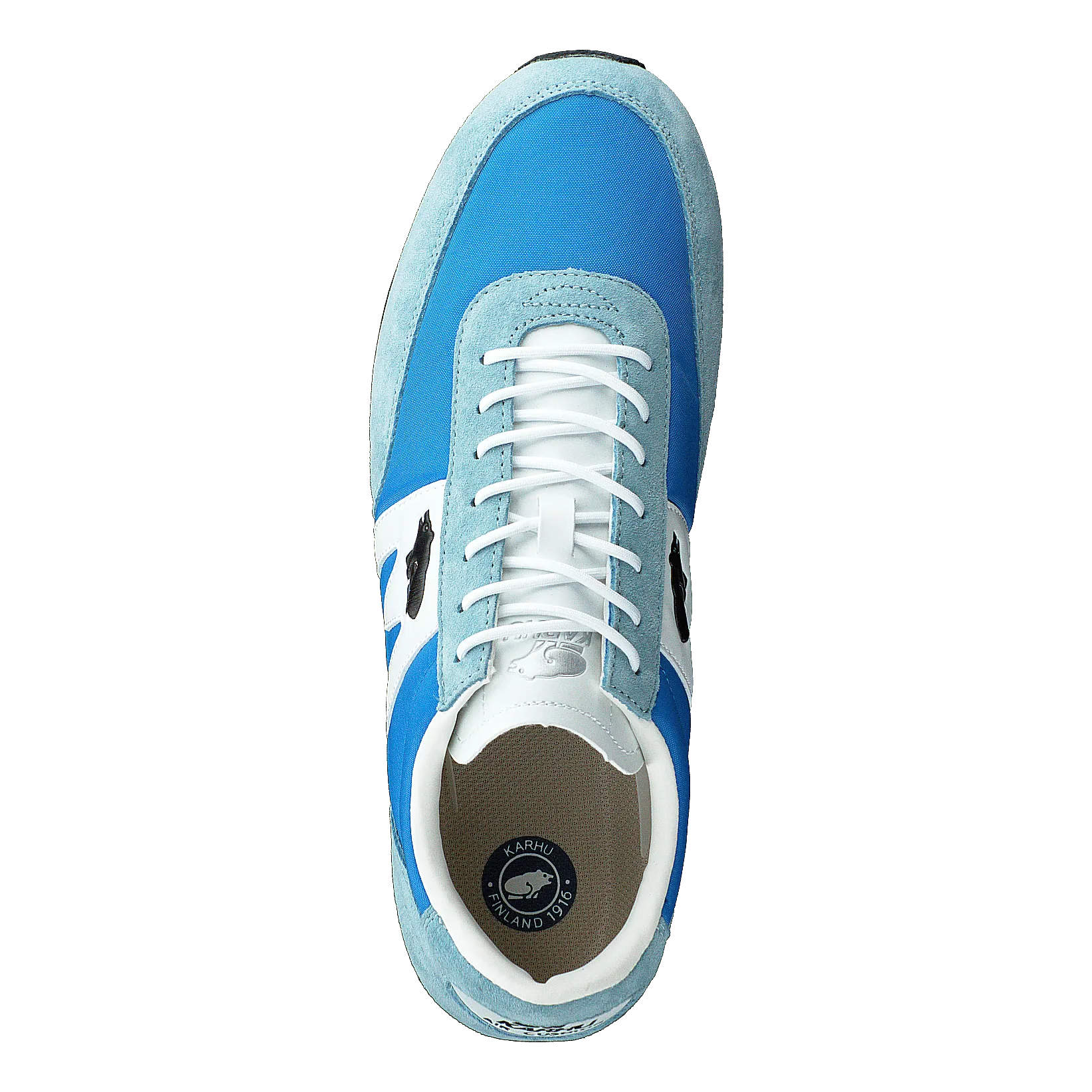 Albatross Blue Aster/white