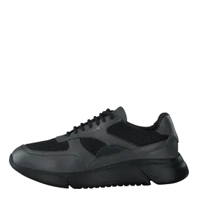 Genesis Black