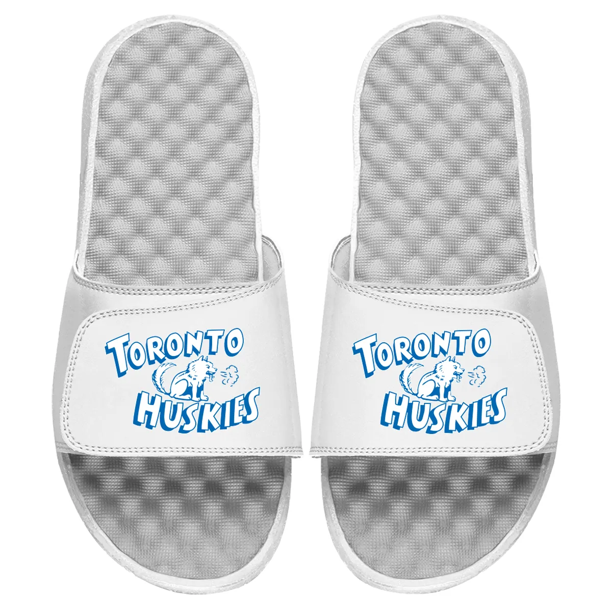 Toronto Huskies HWC Primary Slides
