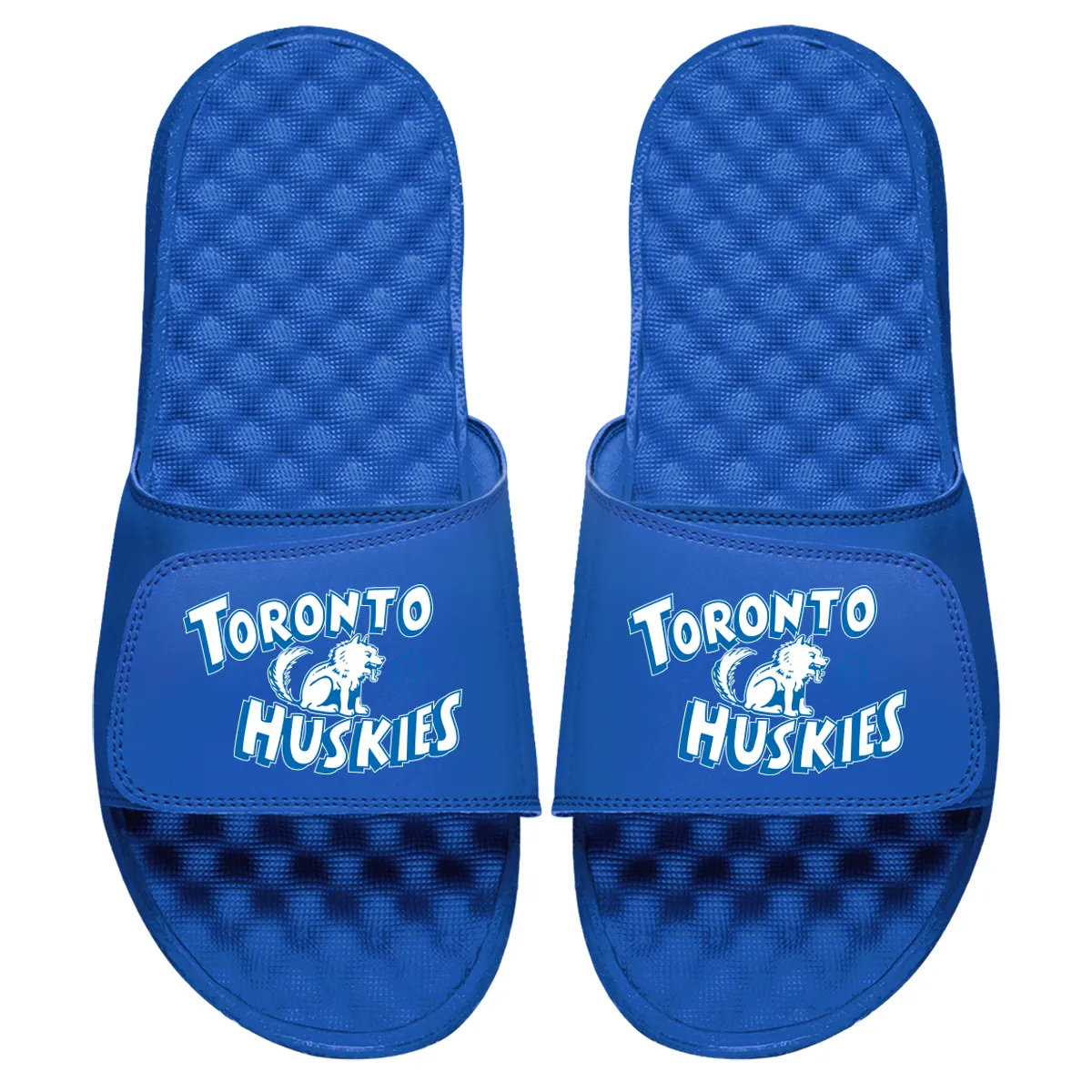 Toronto Huskies HWC Primary Slides