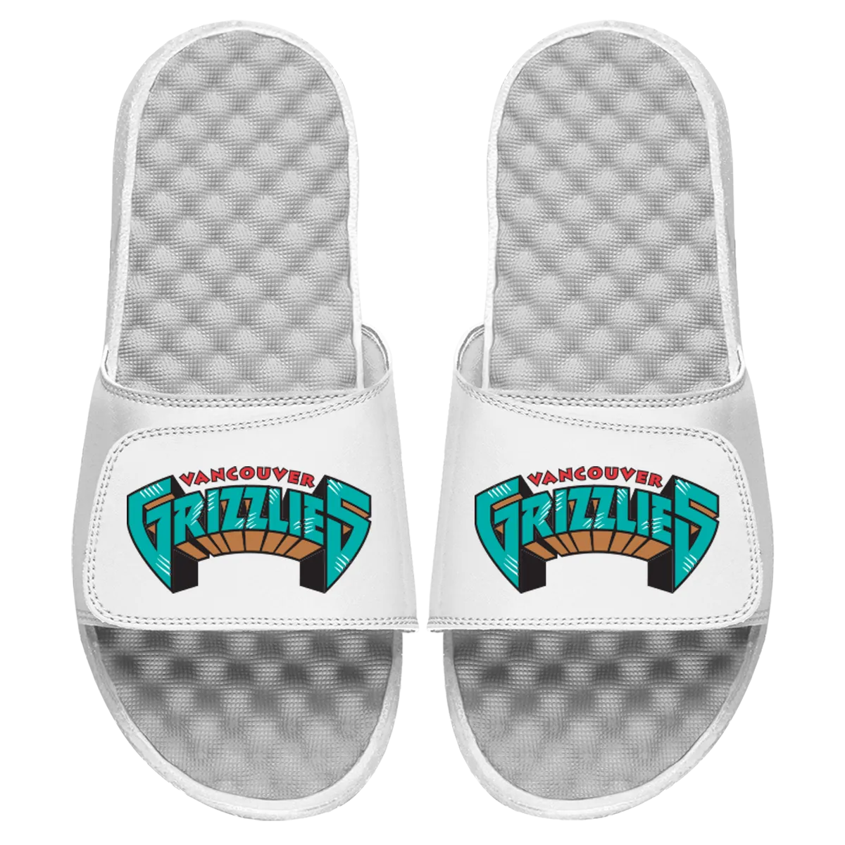 Vancouver Grizzlies Wordmark Slides